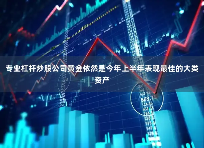 专业杠杆炒股公司黄金依然是今年上半年表现最佳的大类资产