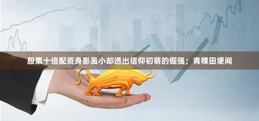 股票十倍配资身影虽小却透出信仰初萌的倔强；青稞田埂间