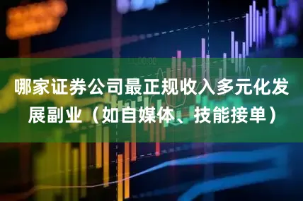 哪家证券公司最正规收入多元化发展副业（如自媒体、技能接单）