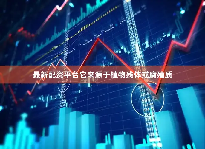 最新配资平台它来源于植物残体或腐殖质