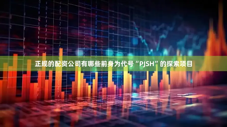 正规的配资公司有哪些前身为代号“PJSH”的探索项目
